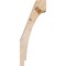 Ekena Millwork 5 1/2"W x 8"D x 20"H Imperial Smooth Knee Brace, Douglas Fir BRC06X08X20IMP00SDF - alternate 3